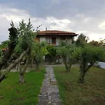 Olive Beach House