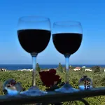 Anemos Holidays House