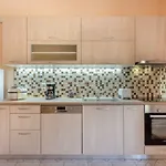Katerina\'S Cozy Mountain View Apartment