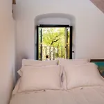 Positivespace Olive Tree