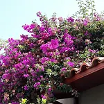 Peggy\'S House