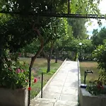 Soile Georgia