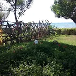 Summer House On The Sandy Beach