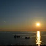 Sea Shelter