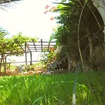 Dimitra Studios