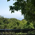 Olga Studios