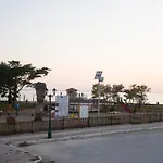 Palm Tree Apartments