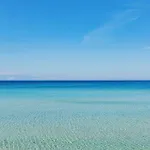 Sani Asterias
