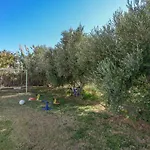Mateus Studios