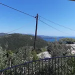 Olive Tree Apartments