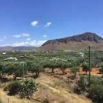 The Olive Garden Apartments