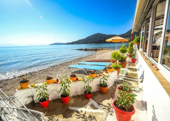 Elena Beach Apartment