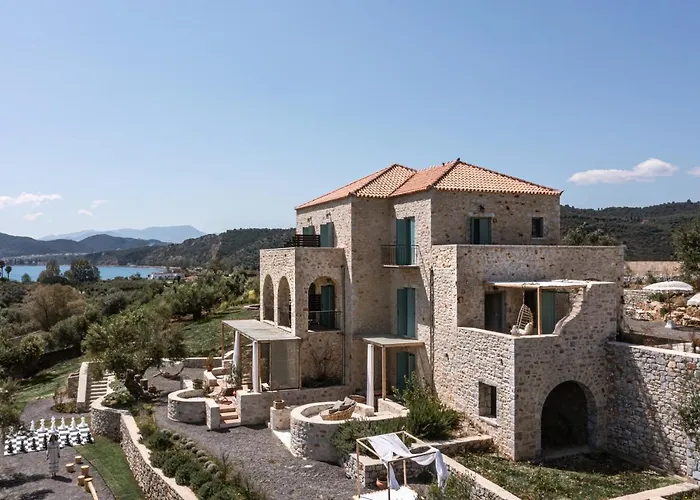 The Olive Yard