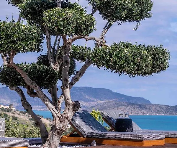 The Olive Tree Villa Elounda