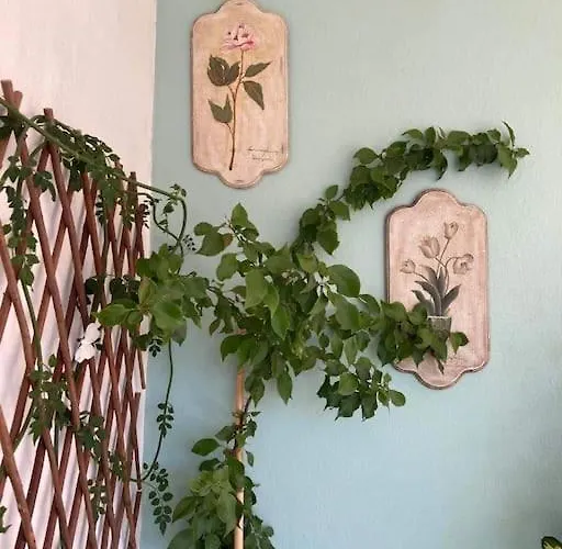 Nina\'S House In The Center Of Volos