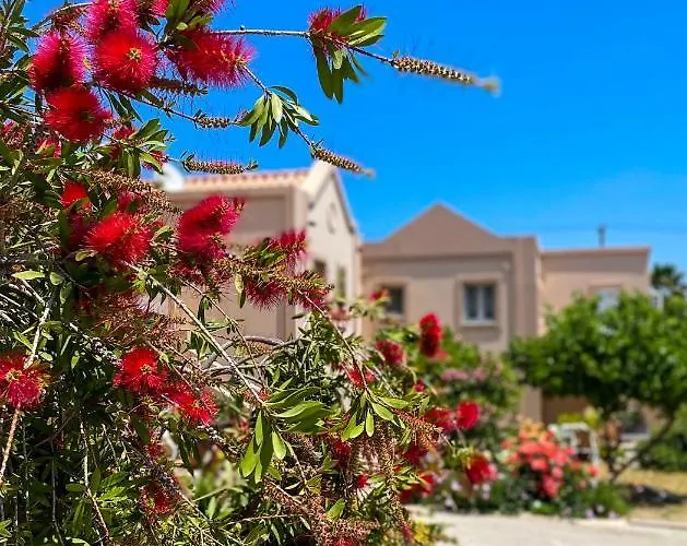 Casa Verde Houses