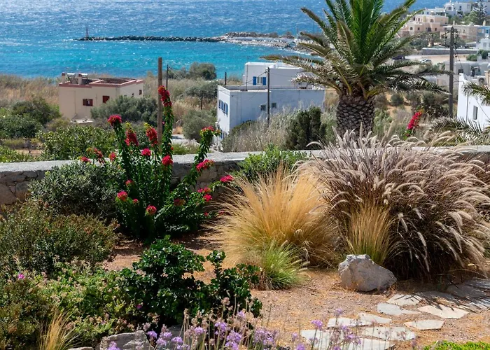 Aelion Villa