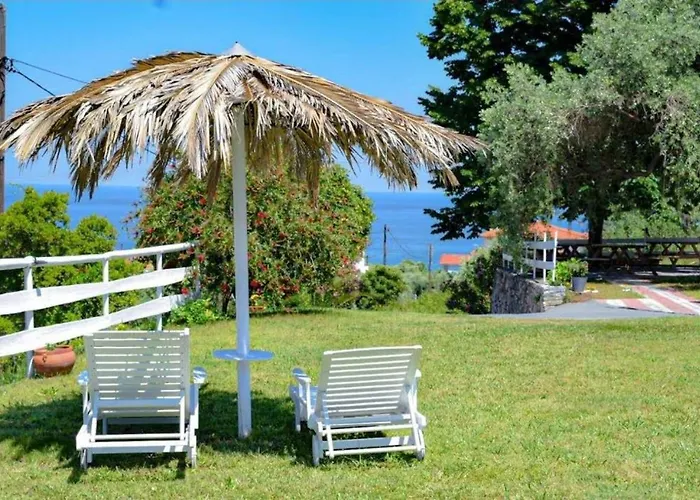 Aura Guesthouse