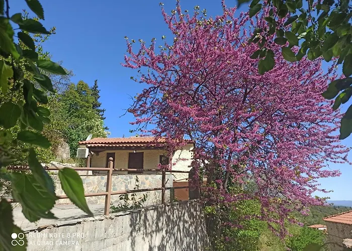 Forestrock Studio For Sale Too