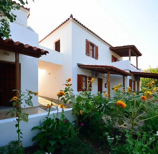 Studios Calvinos