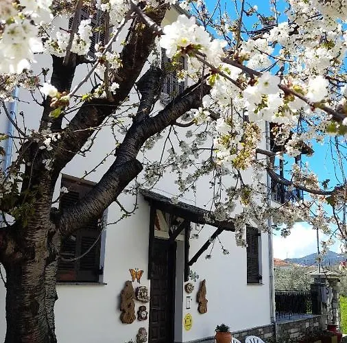 Studio Sevasti