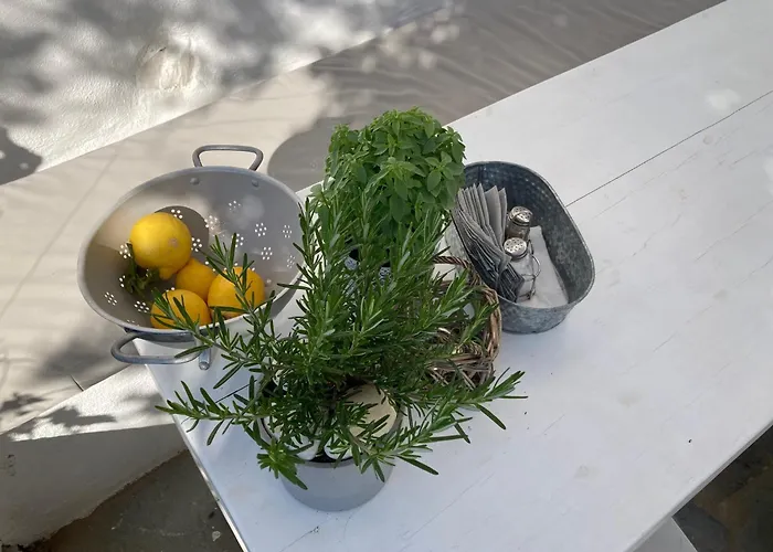 Letihome Paros