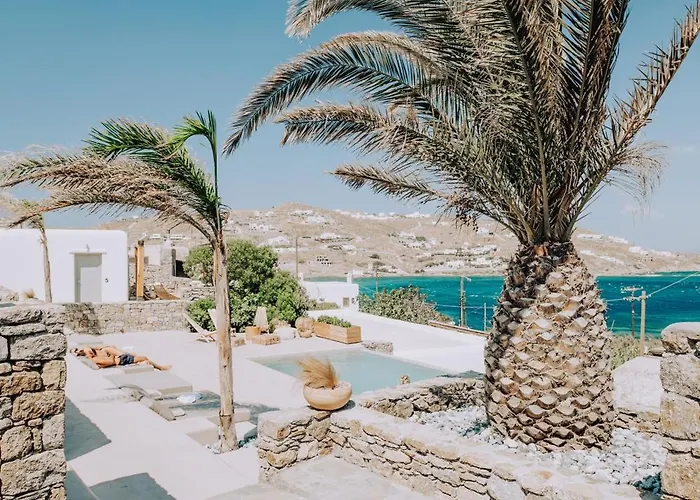 Aelia Mykonos