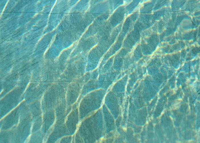 Olivista - Live In Nature