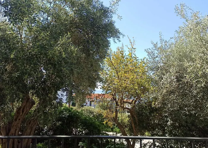 Greekowl Apartments