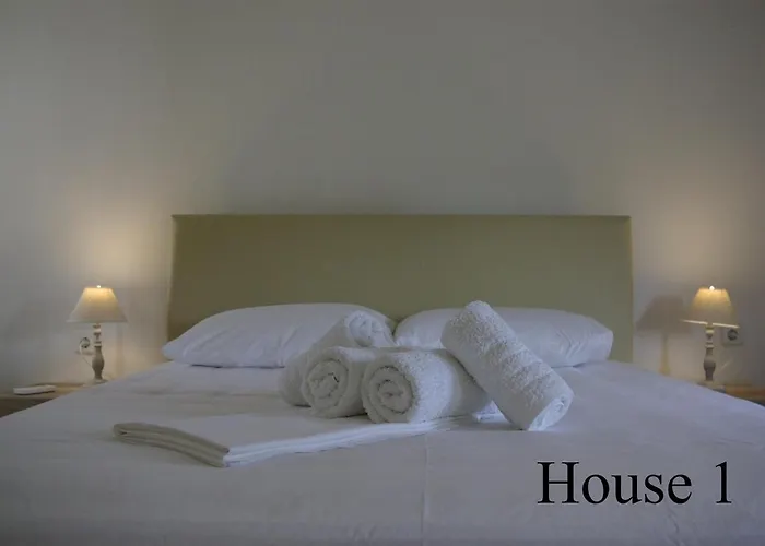 Lazy Cat Holiday House