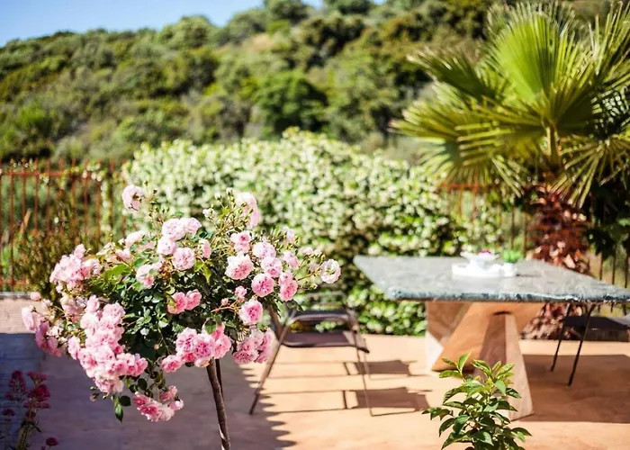 Villa Armonia - Beachfront Majestic Retreat