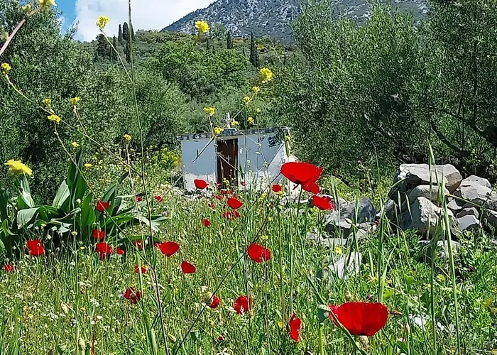 The Mousehouse