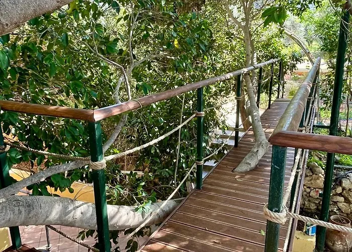 The Secret Treehouse