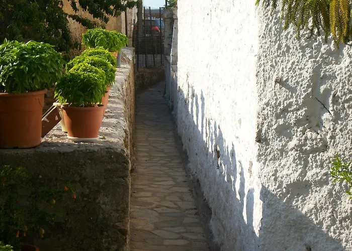 Jasmine\'S Guest House