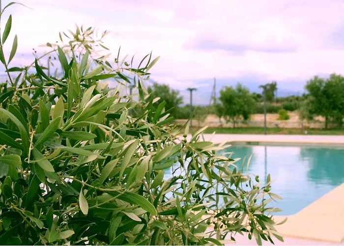 Petra Luxury Rooms And Apartments