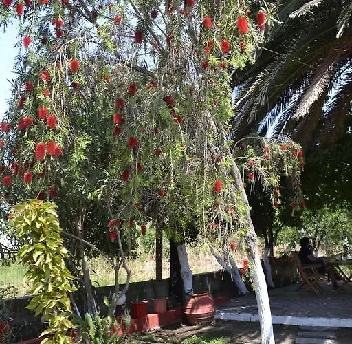 House Souzanna
