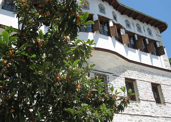 Ta Xelidonakia
