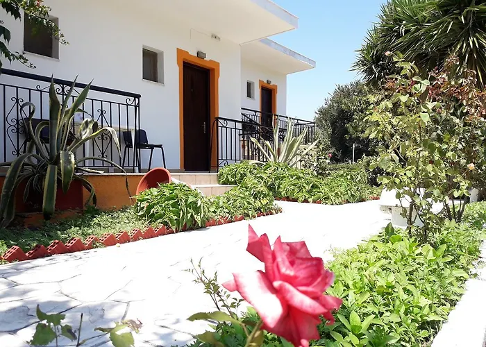Studios Dimitris