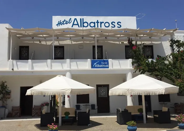 Albatross