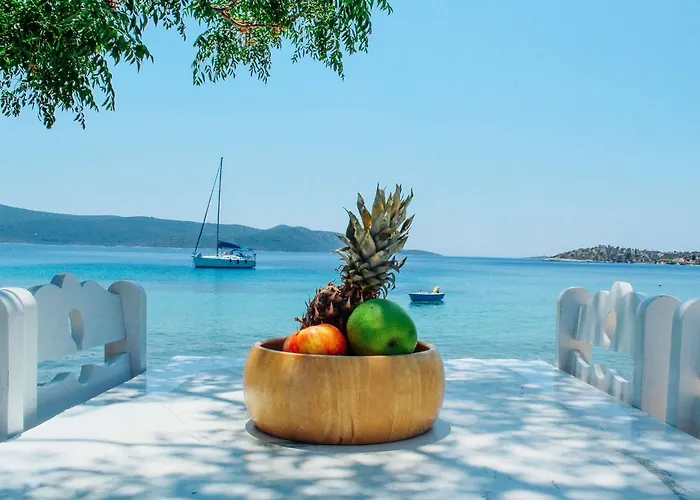 Klima Paradise