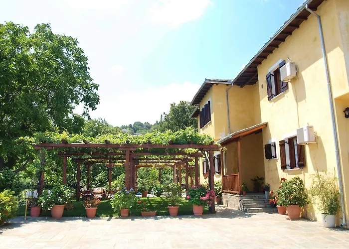 Olga Studios