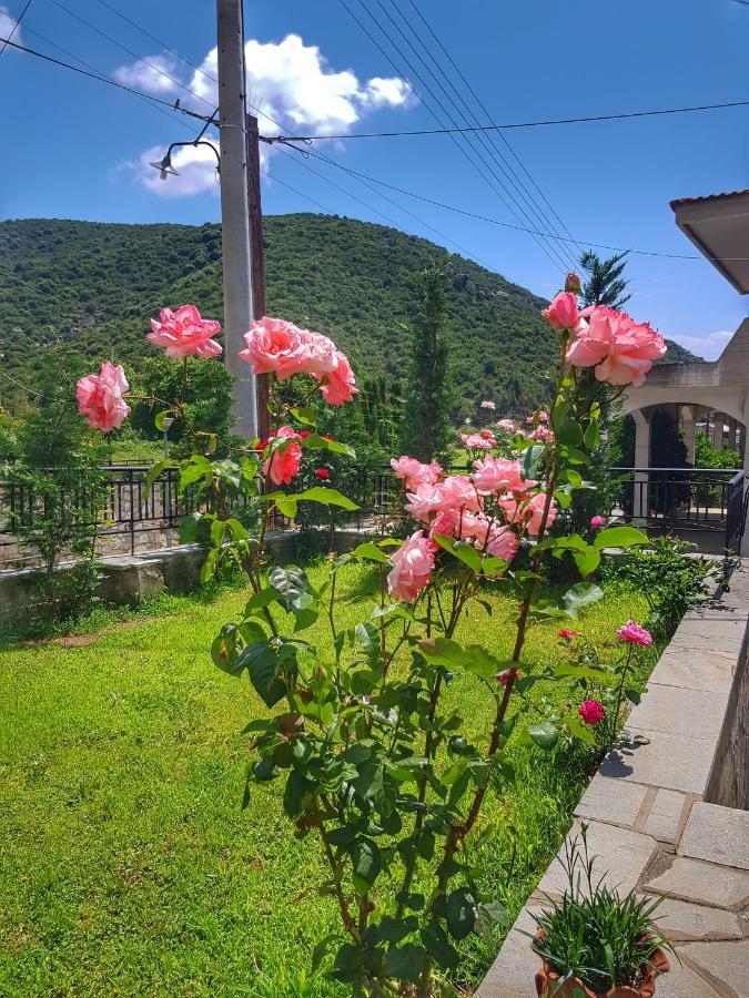 Stavrini's House Holiday home Elevtherai