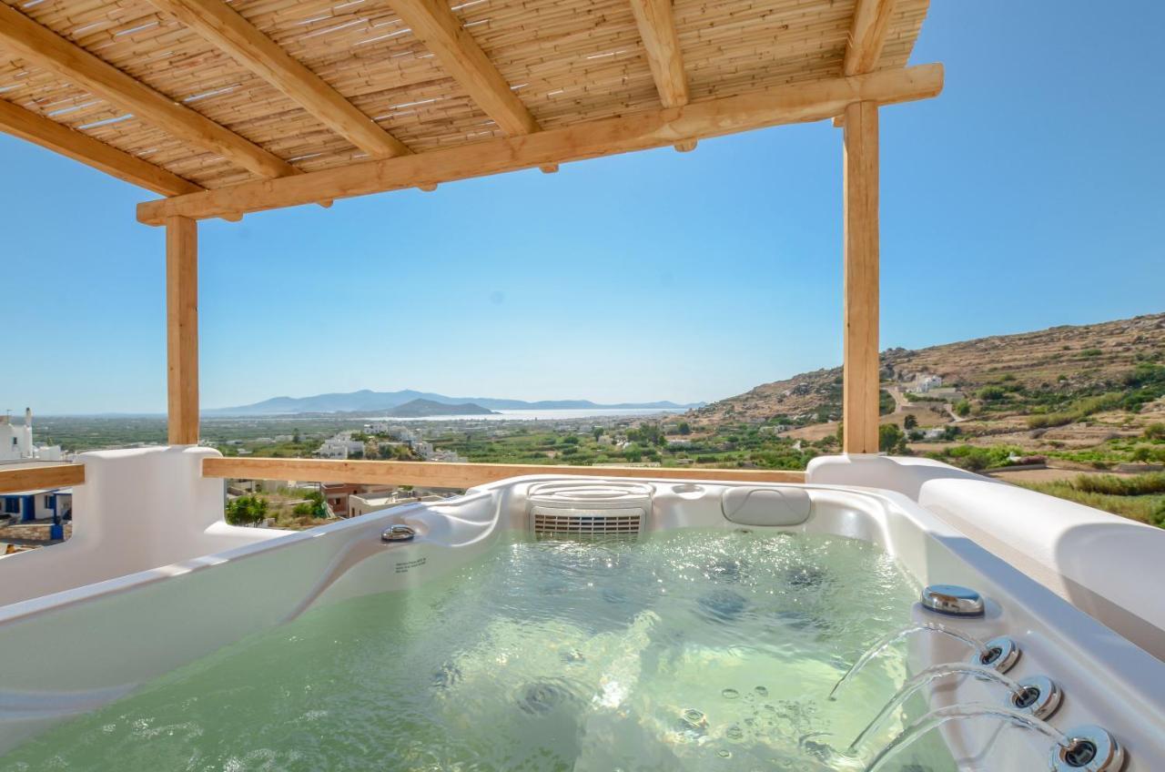 Apartment Naxos Pantheon Luxury Agkidia