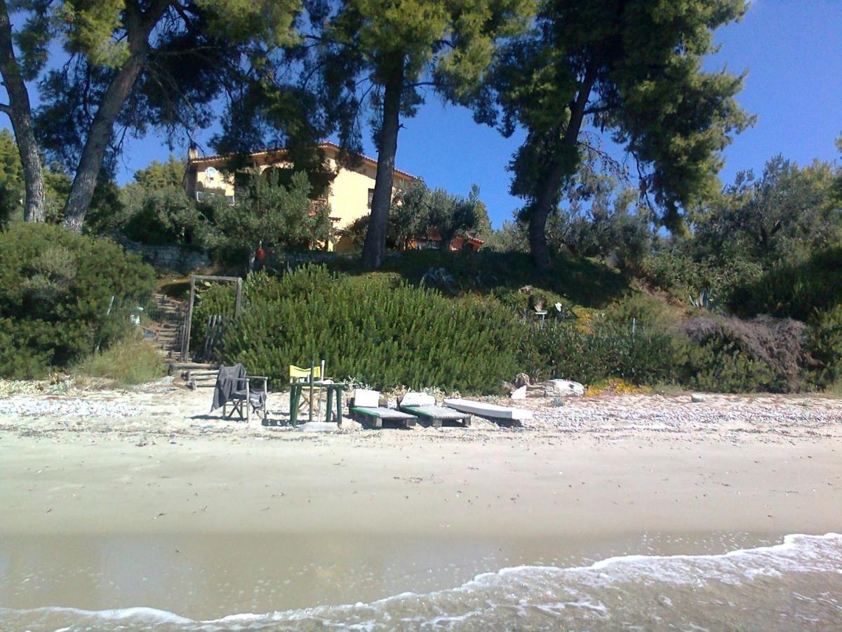 Halkiddiki-kassandra-mola Kalyva Traditional House In Front Of The Sea Holiday home *