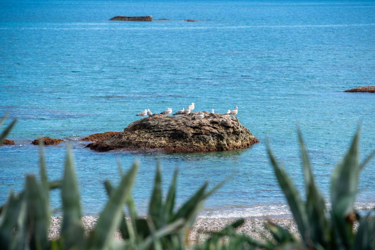 Apartment Stegna Dream Archangelos (Rhodes)
