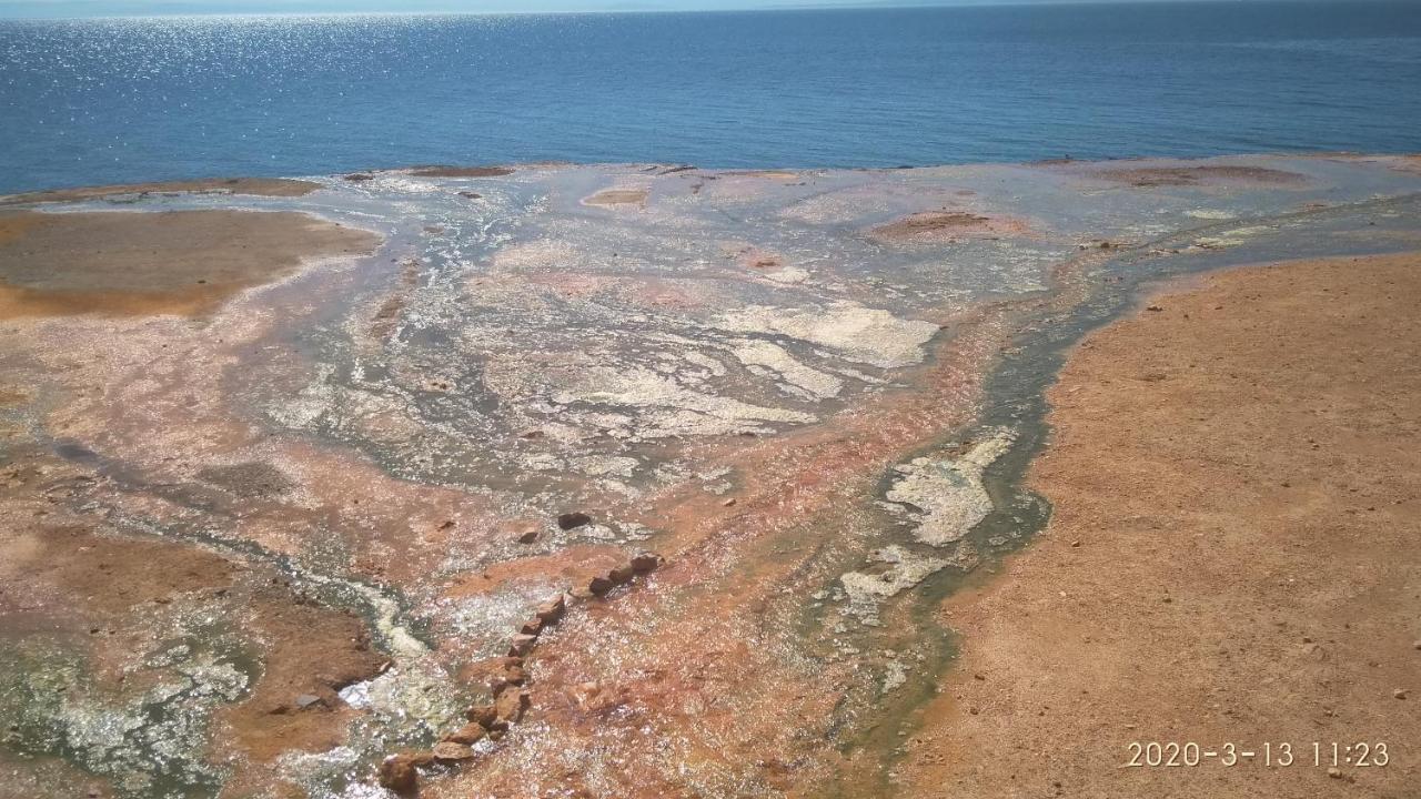 Palatino Loutra Edipsou (Evia)