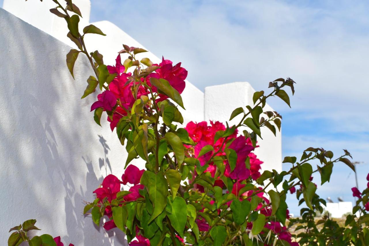Apanema Paros Apartment Naousa (Paros)