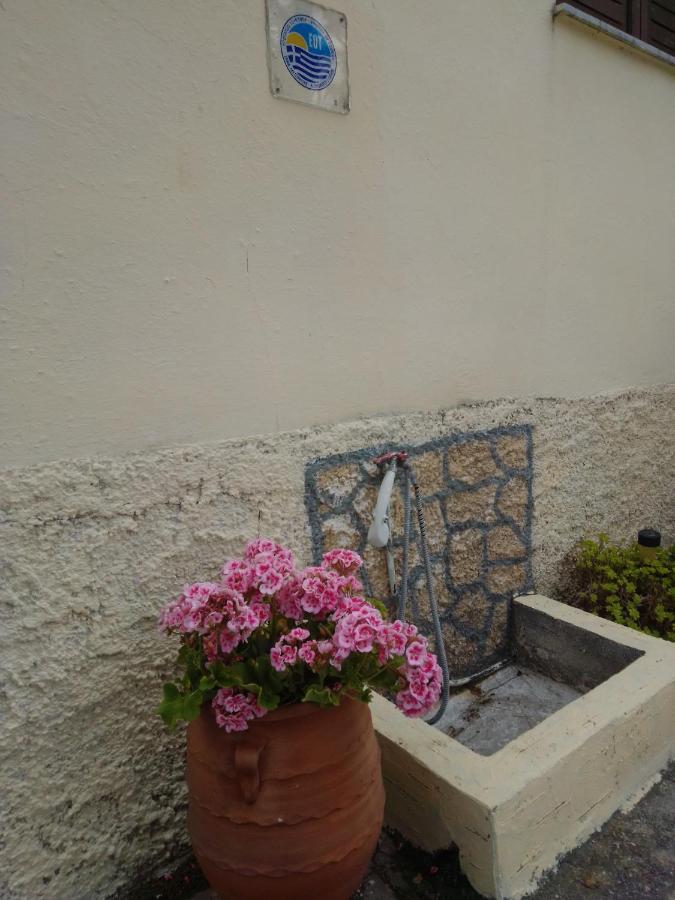 Anemos Apartment *