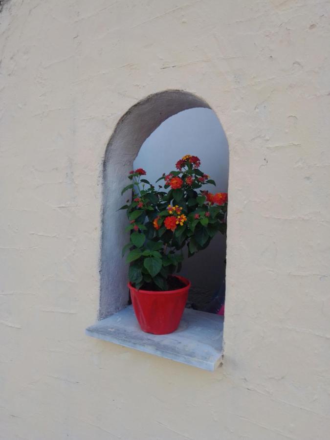 Apartment Anemos Vasilias (Skiathos)