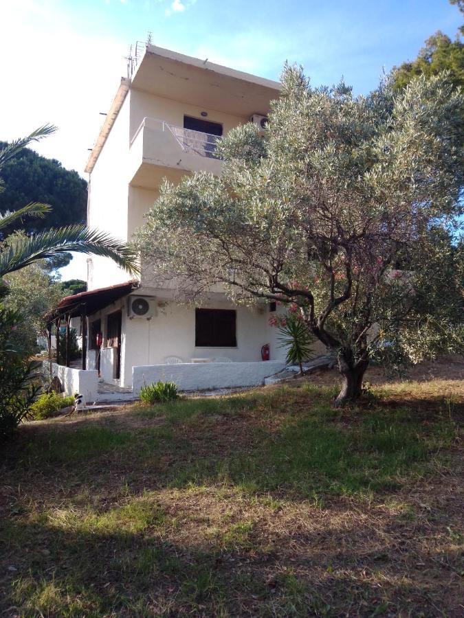 Anemos Apartment Vasilias (Skiathos)